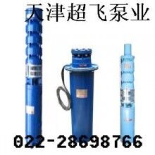 天津潛水電機(jī)，天津潛水泵